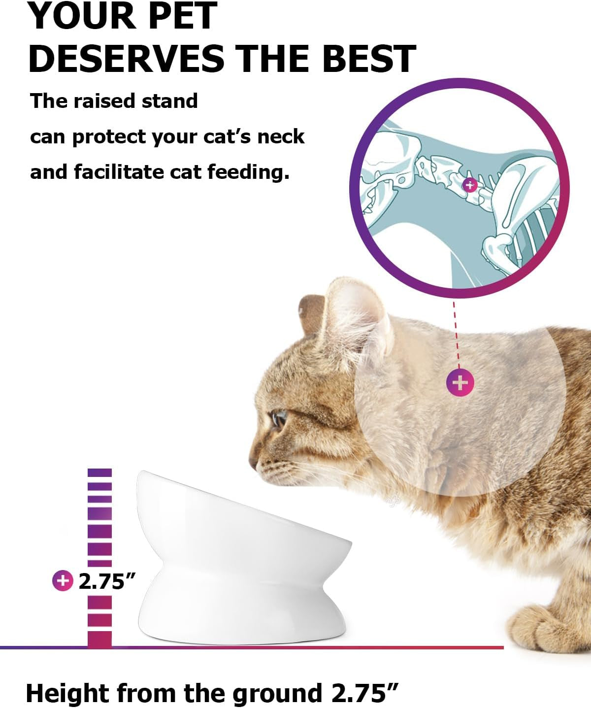 Cat Bowl anti Vomiting, Raised Cat Food Bowls, Tilted Elevated Cat Bowl, Ceramic Pet Food Bowl for Flat Faced Cats, Small Dogs, Protect Pet'S Spine, Dishwasher Safe