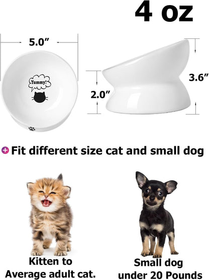 Cat Bowl anti Vomiting, Raised Cat Food Bowls, Tilted Elevated Cat Bowl, Ceramic Pet Food Bowl for Flat Faced Cats, Small Dogs, Protect Pet'S Spine, Dishwasher Safe